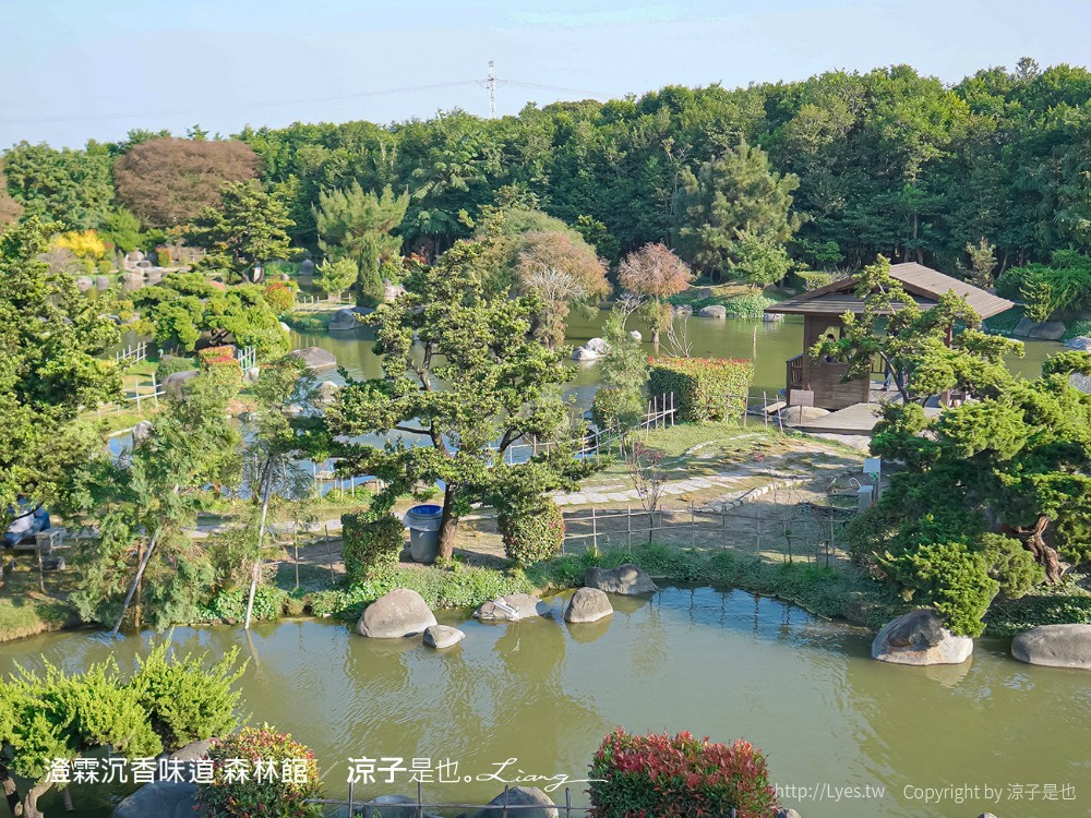 澄霖沉香味道森林館 雲林景點 愛心落羽松 湖畔步道 水之教堂 台版兼六園