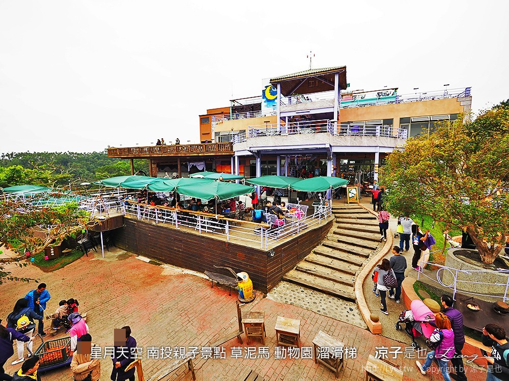 星月天空 南投親子景點 草泥馬 動物園 溜滑梯