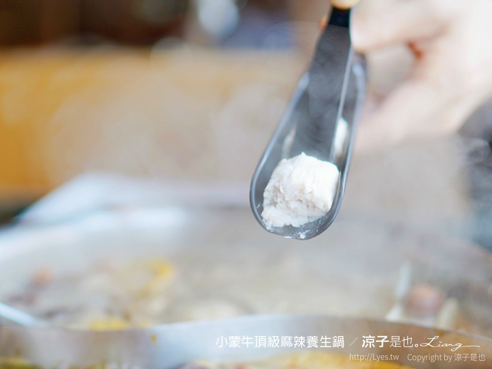 小蒙牛頂級麻辣養生鍋 台中 文心 麻辣火鍋吃到飽 崇德商圈 哈根達司 和牛 美食 菜單