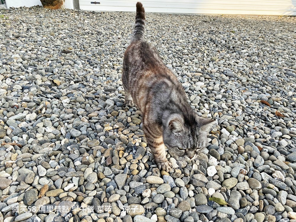微笑58 埔里景點 早午餐 菜單 民宿 住宿 餐廳 美食 親子景點 貓咪
