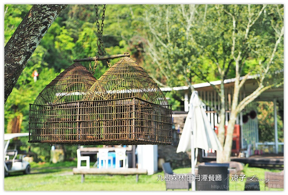 九樹森林 日月潭餐廳