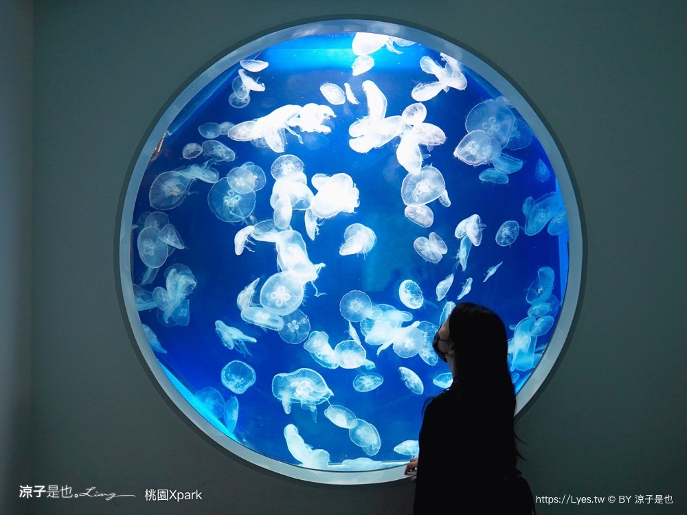 xpark水族館 桃園 最新攻略 門票優惠 必看展區 如何購票 排隊 xpark都會型水生公園 餐廳 停車 交通 評論 遲到