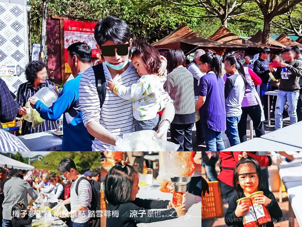 梅子夢工廠 南投景點 踏雪尋梅
