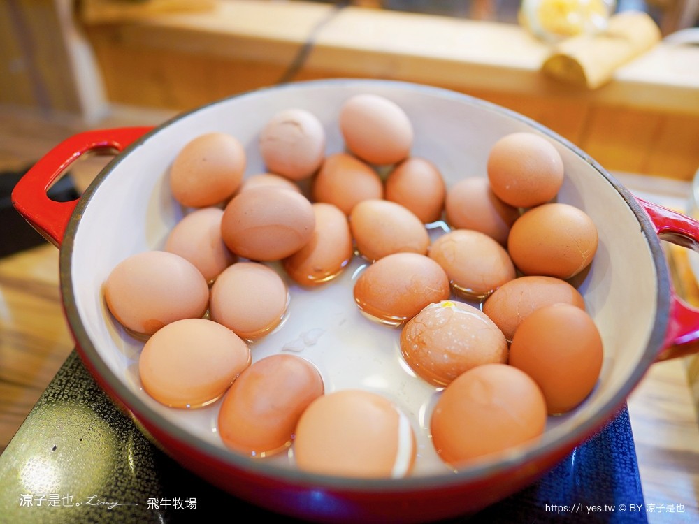 苗栗 飛牛牧場住宿 房型 早餐 四人房 2天1夜 園區門票 票價 苗栗親子飯店推薦