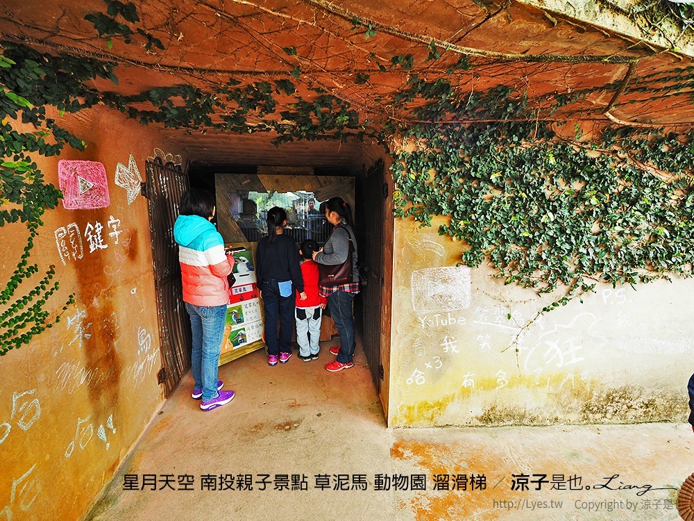 星月天空 南投親子景點 草泥馬 動物園 溜滑梯