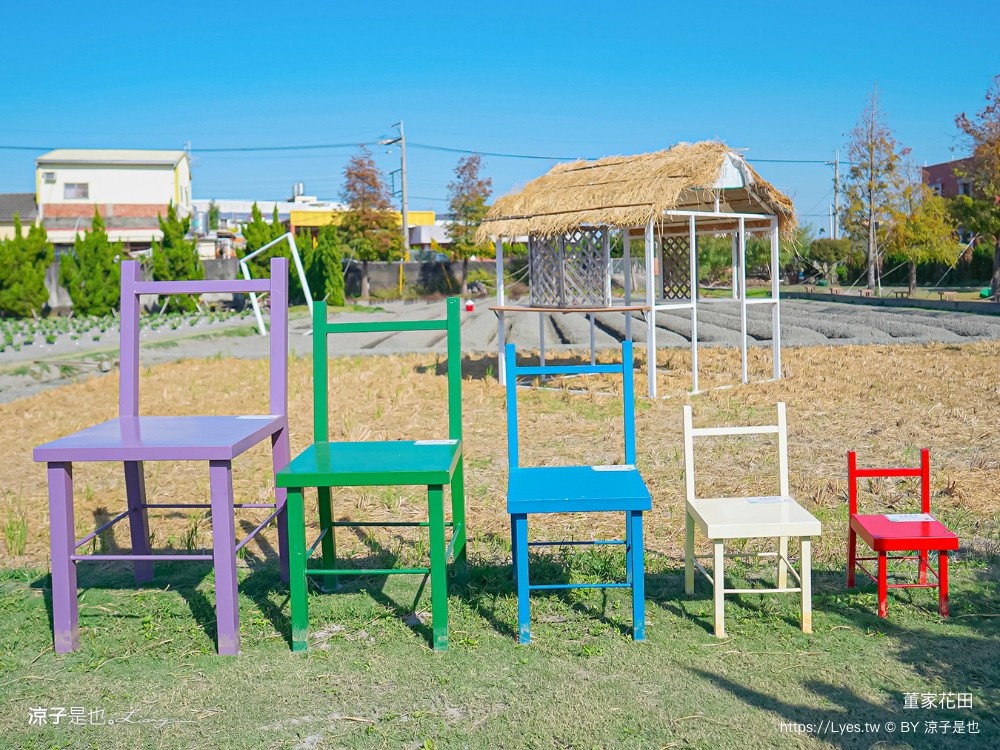 董家花田 菜單 門票 景點 彰化景點 田尾景觀餐廳 花海 戶外野餐 咖啡 交通