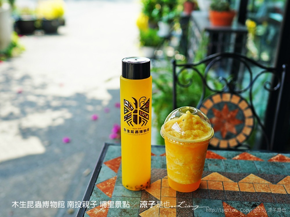 木生昆蟲博物館 南投親子 埔里景點