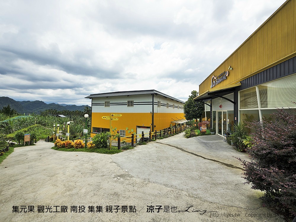 集元果 觀光工廠 南投 集集 親子景點