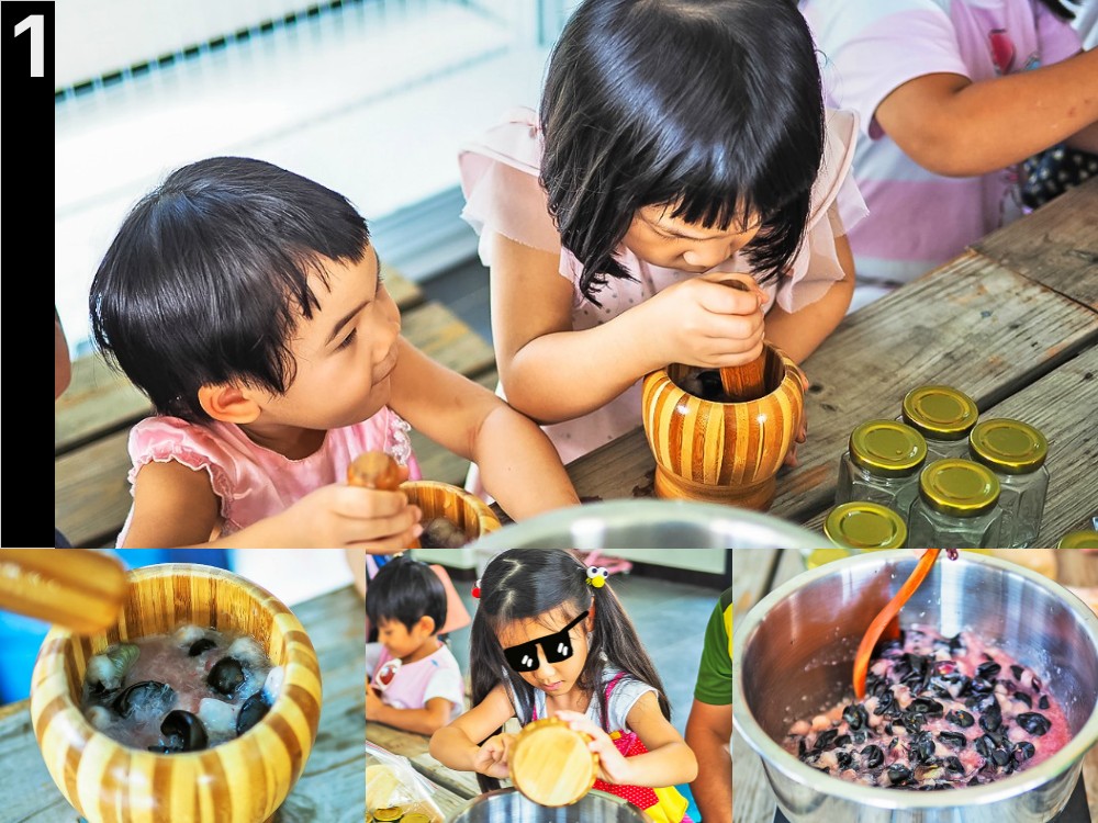 埔里景點-果寶歡酵觀光農場 親子採嘉寶果x樹葡萄果醬DIYx品嚐百香果沙拉 桃米生態村親子體驗好好玩