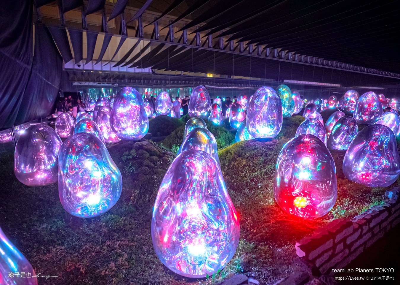 teamLab Planets TOKYO 東京teamLab 豐洲teamLab 東京景點 日本自由行