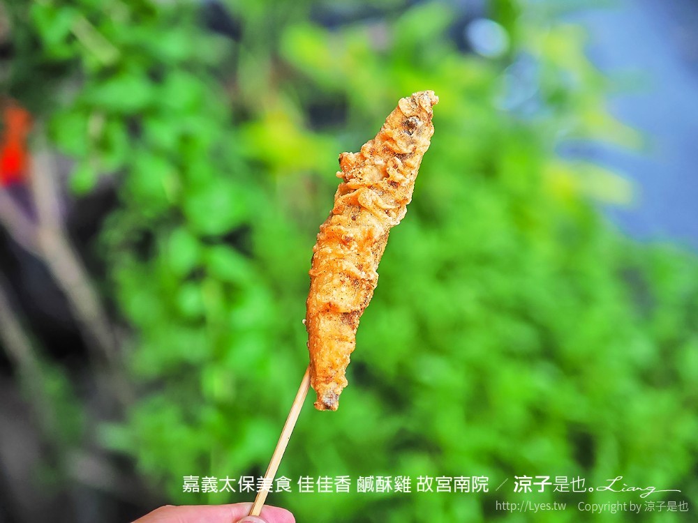 嘉義太保美食 佳佳香 鹹酥雞 故宮南院