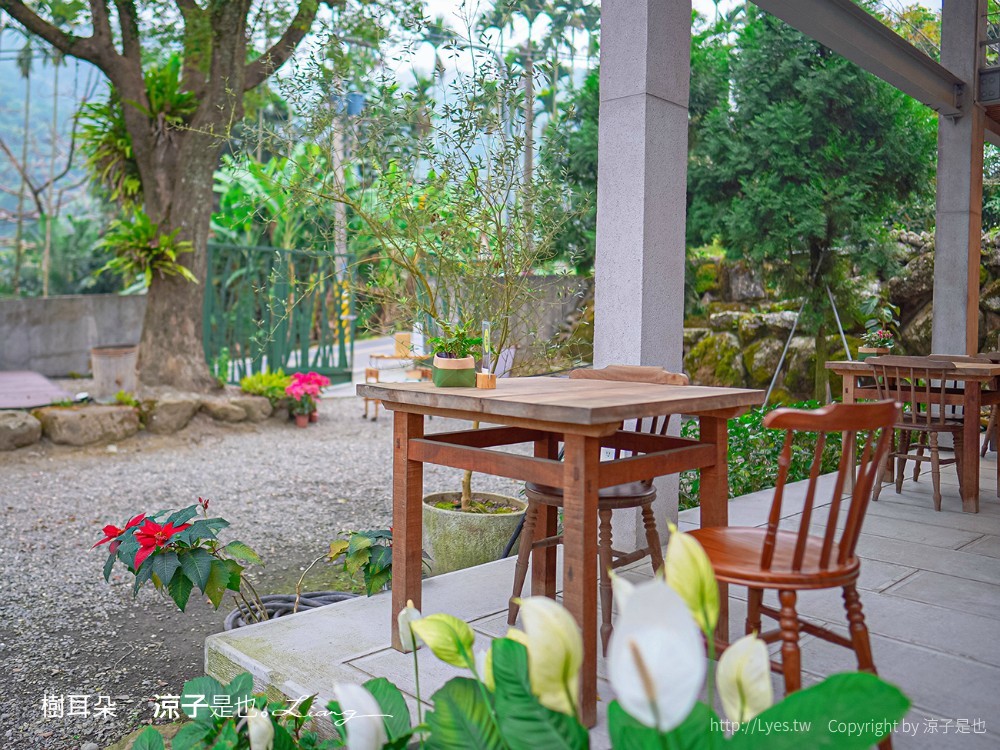 樹耳朵 菜單 台南關仔嶺 甜點咖啡館 景觀餐廳 白河 檸檬塔 假日限定 森林系