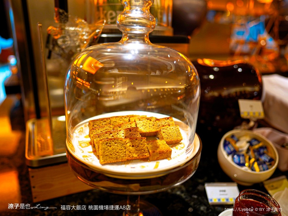 桃園福容大飯店 捷運a8福容 機場飯店 福容飯店交通 房型 設施 早餐 親子 桃園住宿 親子歡樂遊