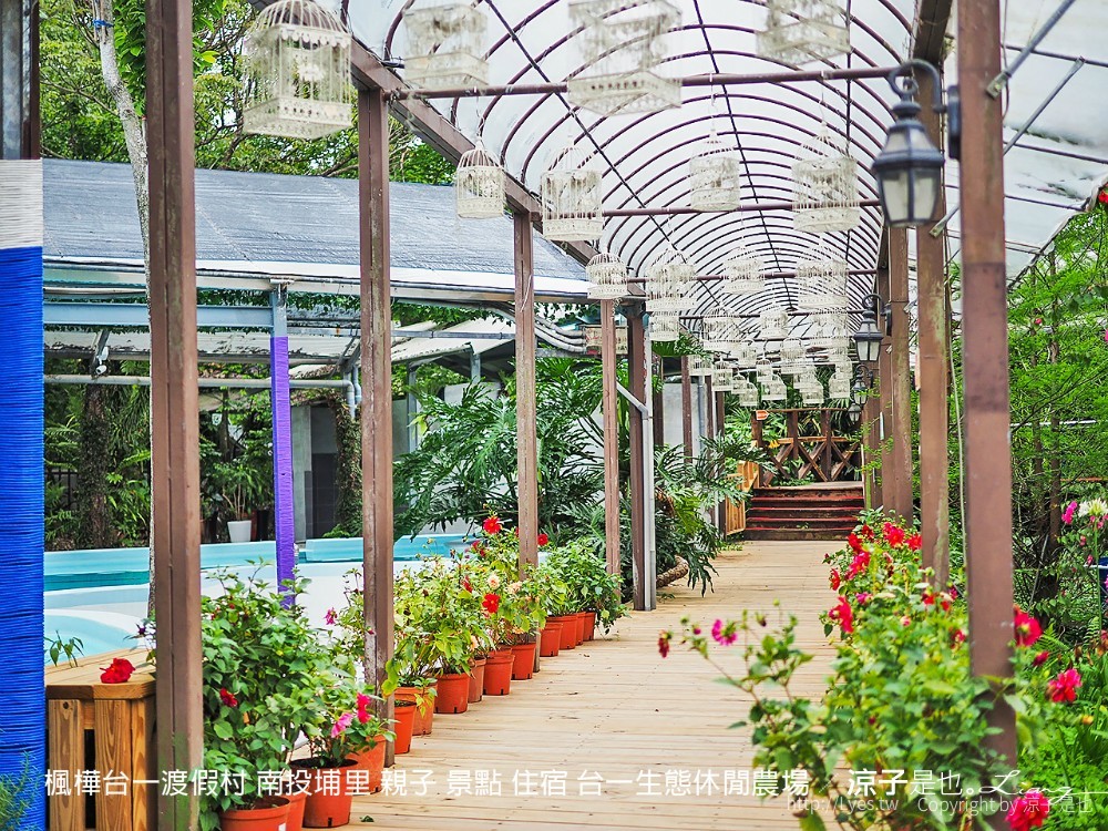 楓樺台一渡假村 南投埔里 親子 景點 住宿 台一生態休閒農場