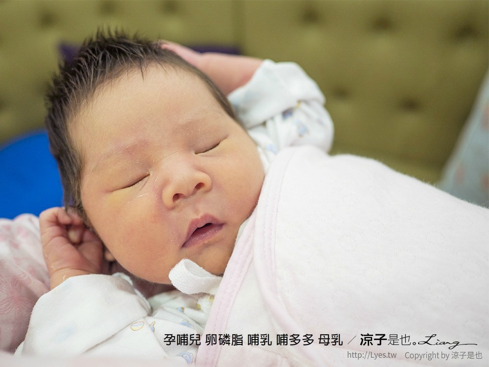 孕哺兒 卵磷脂 哺乳 哺多多 母乳