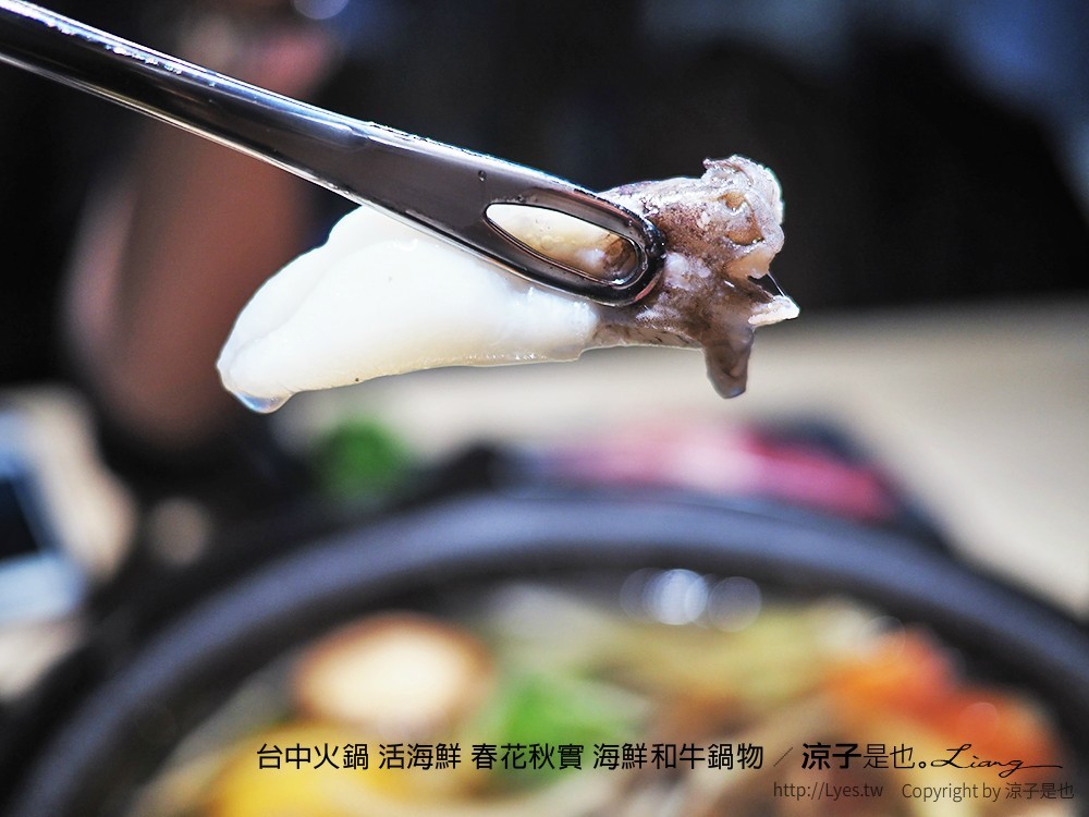 台中火鍋 活海鮮 春花秋實 海鮮和牛鍋物
