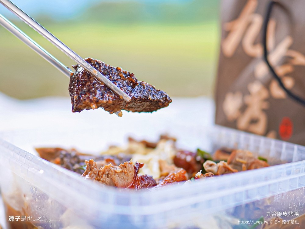 九合脆皮烤鴨 埔里 炒鴨架 高麗菜 片鴨 酸白菜鴨湯 南投外帶美食 露營野餐 旅遊美食推薦