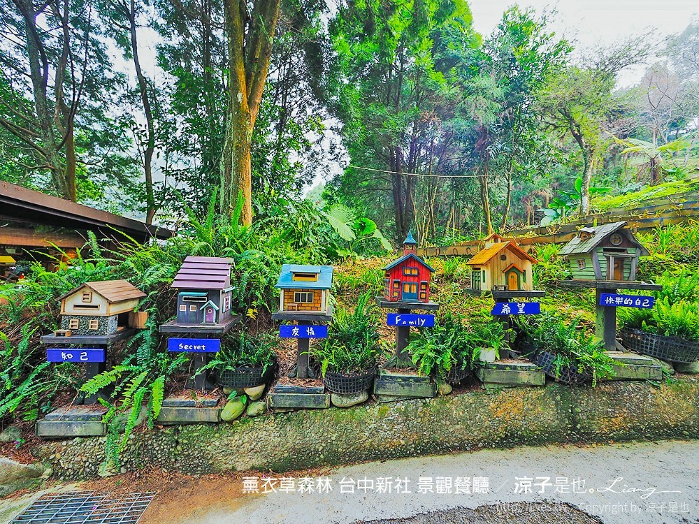 薰衣草森林 台中新社 景觀餐廳