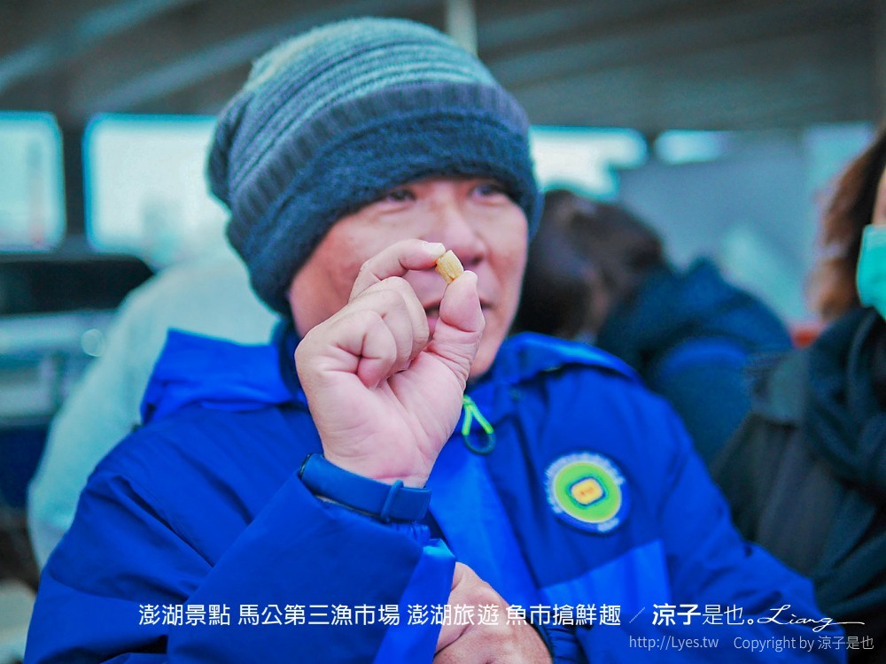 澎湖景點 馬公第三漁市場 澎湖旅遊 魚市搶鮮趣
