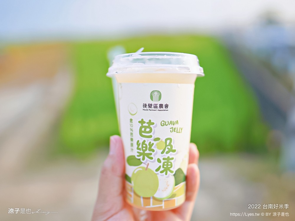 2022台南好米季 台南後壁景點 稻田彩繪 貓貓蟲咖波 稻陣走健走活動 網美打卡 親子景點