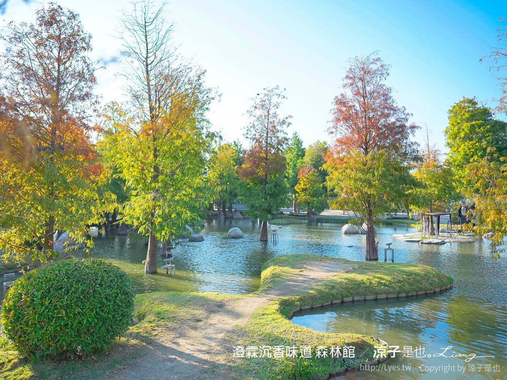 澄霖沉香味道森林館 雲林景點 愛心落羽松 湖畔步道 水之教堂 台版兼六園