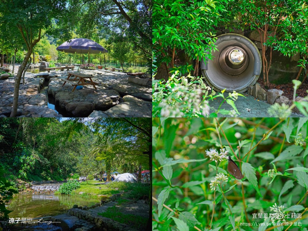 鳳梨屋水上莊 餵羊 早餐 晚餐 帳棚 親子diy