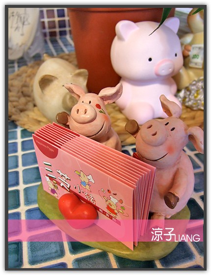 三芝小豬07
