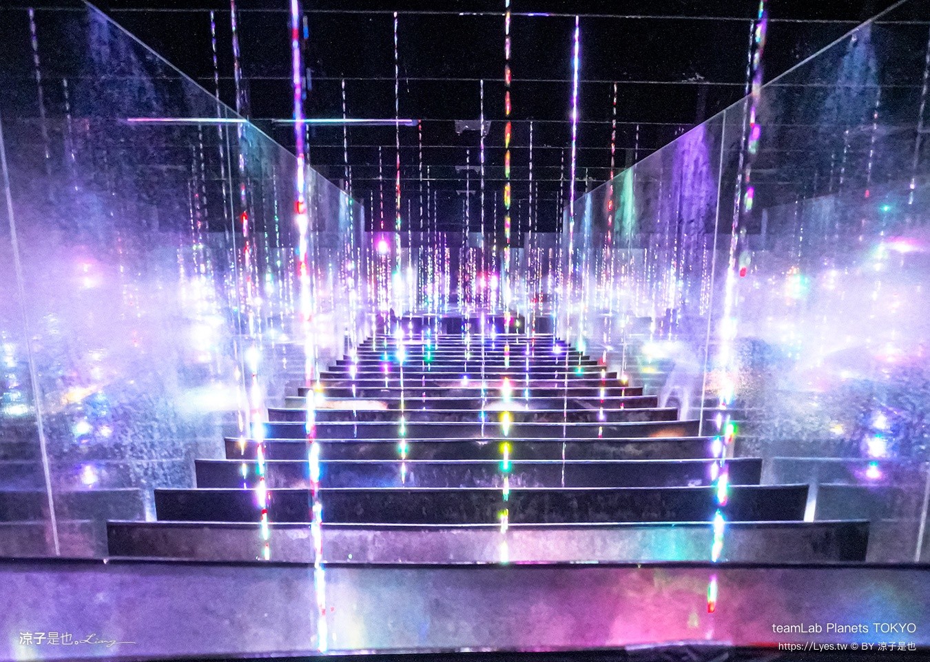 teamLab Planets TOKYO 東京teamLab 豐洲teamLab 東京景點 日本自由行