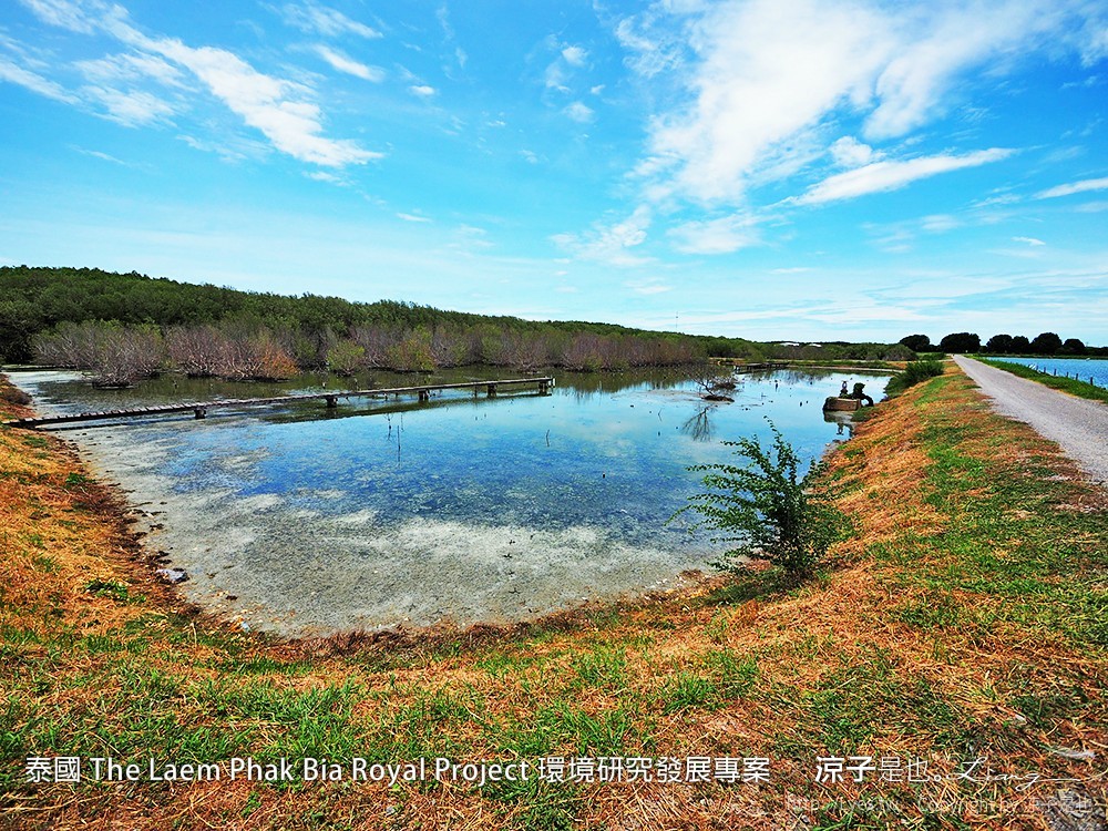 泰國 The Laem Phak Bia Royal Project 環境研究發展專案