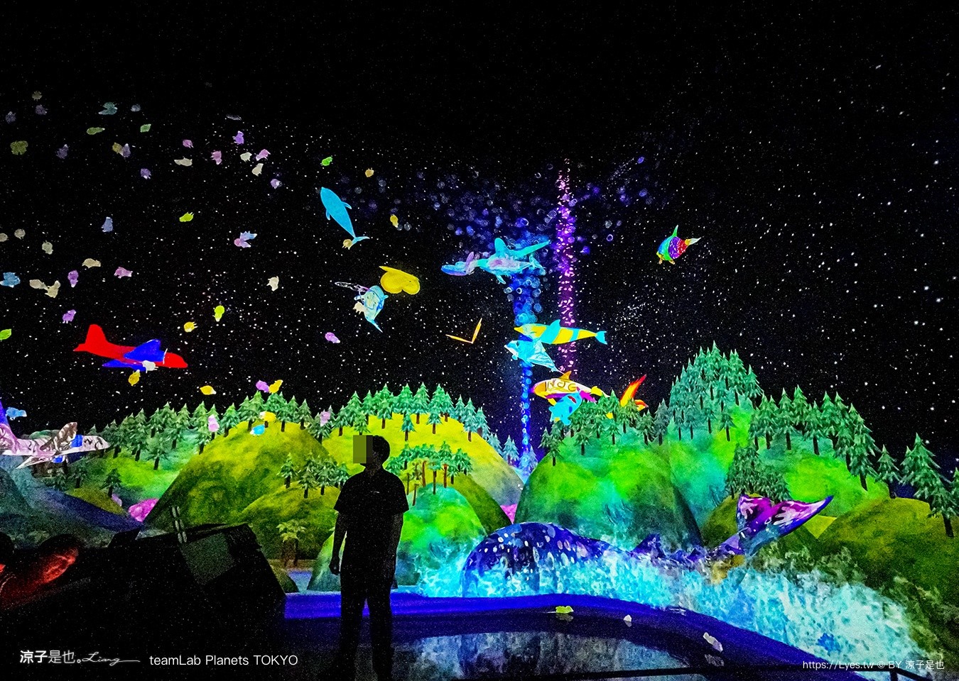 teamLab Planets TOKYO 東京teamLab 豐洲teamLab 東京景點 日本自由行