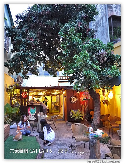 六號貓洞 CAT LAIR 6 2