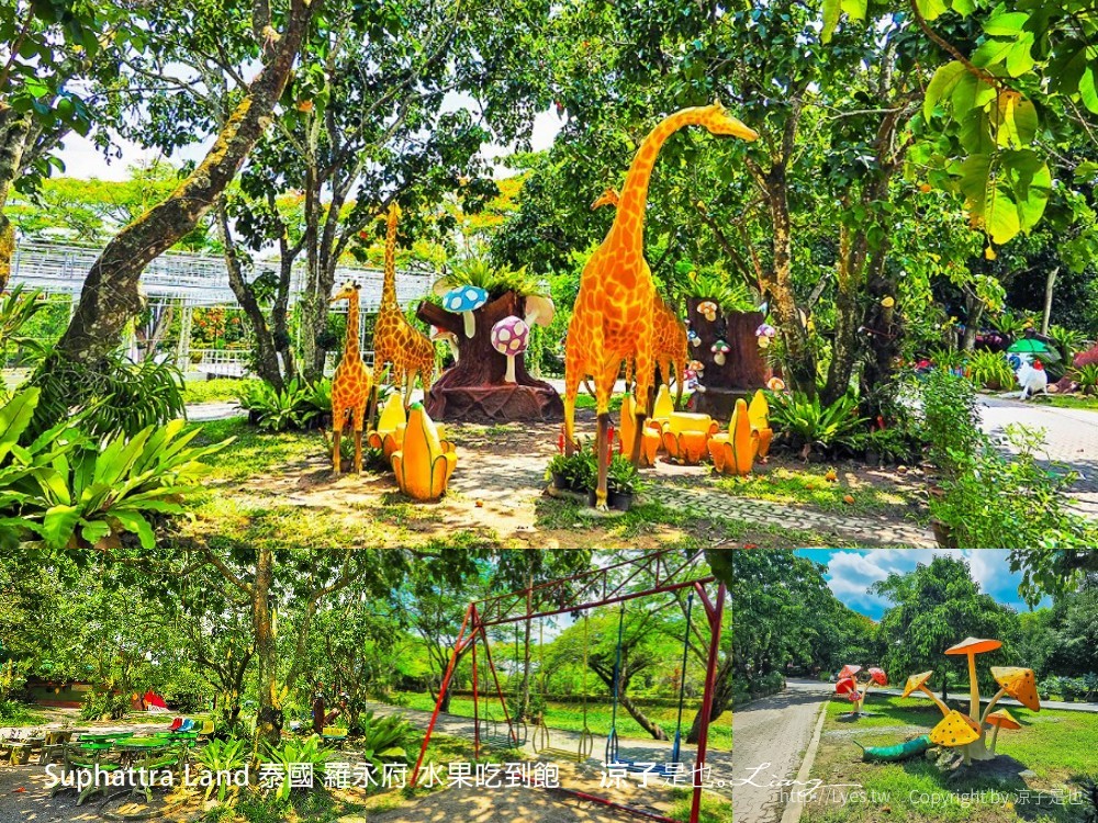 suphattra land 泰國 羅勇府 水果吃到飽
