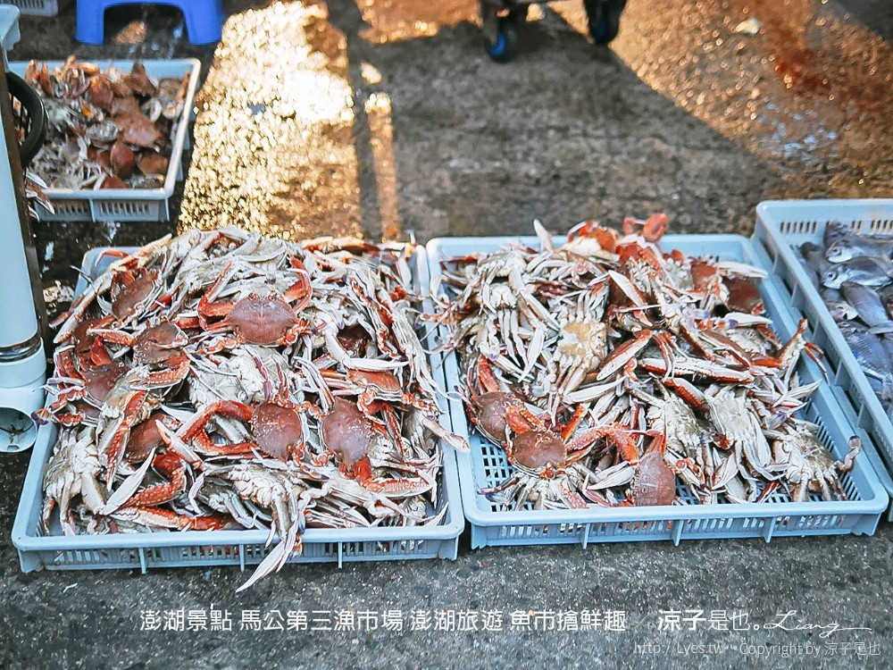 澎湖景點 馬公第三漁市場 澎湖旅遊 魚市搶鮮趣