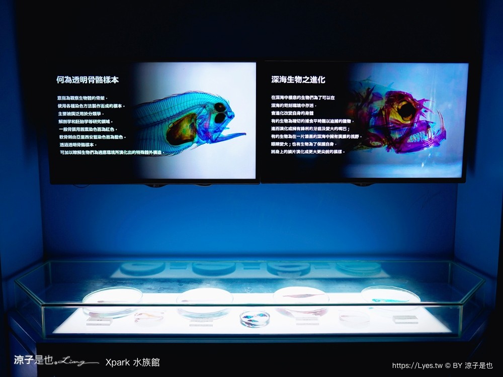 xpark水族館 門票優惠 桃園 親子景點 最新攻略 必看展區 美食餐廳 交通 停車 住宿