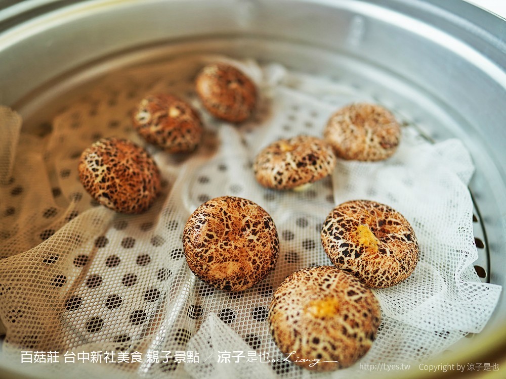 百菇莊 台中新社美食 親子景點