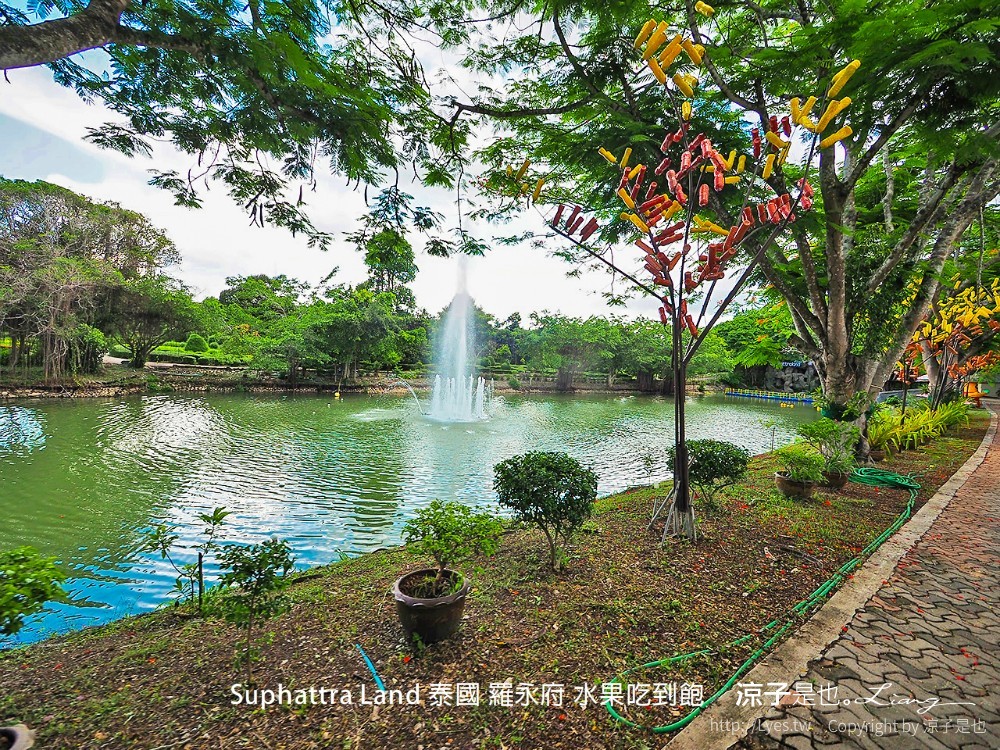 suphattra land 泰國 羅勇府 水果吃到飽