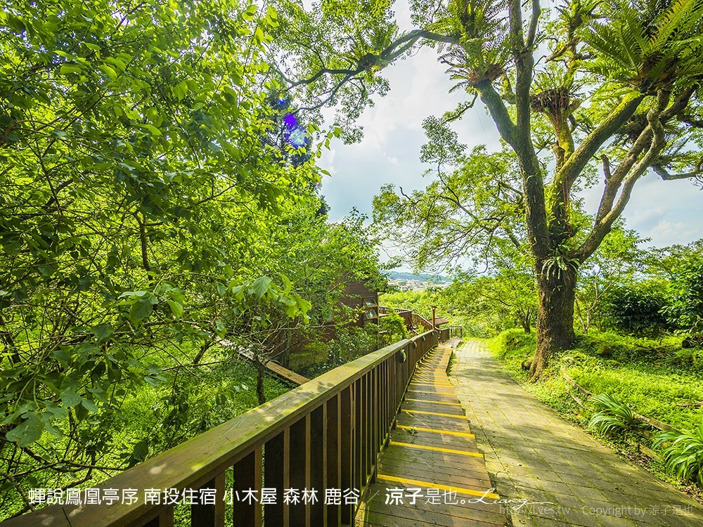 蟬說鳳凰亭序 南投住宿 小木屋 森林 鹿谷