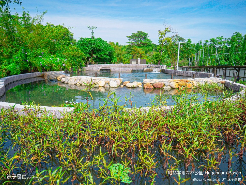 哈赫拿爾森林公園 台南景點 最新公園 森林秘境 開放時間 綠化 生態公園 交通 親子 hagenaars bosch