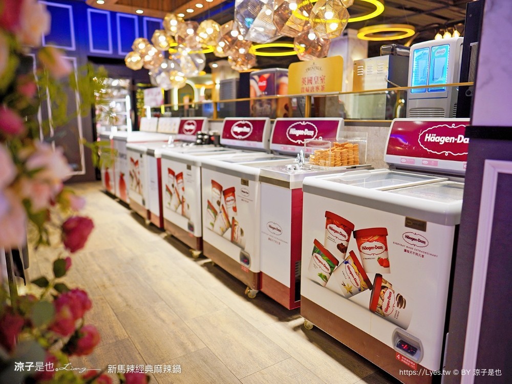 新馬辣經典麻辣鍋 菜單 價位 台中麻辣鍋吃到飽 台中公益路餐廳 壽星優惠 和牛火鍋 哈根達斯