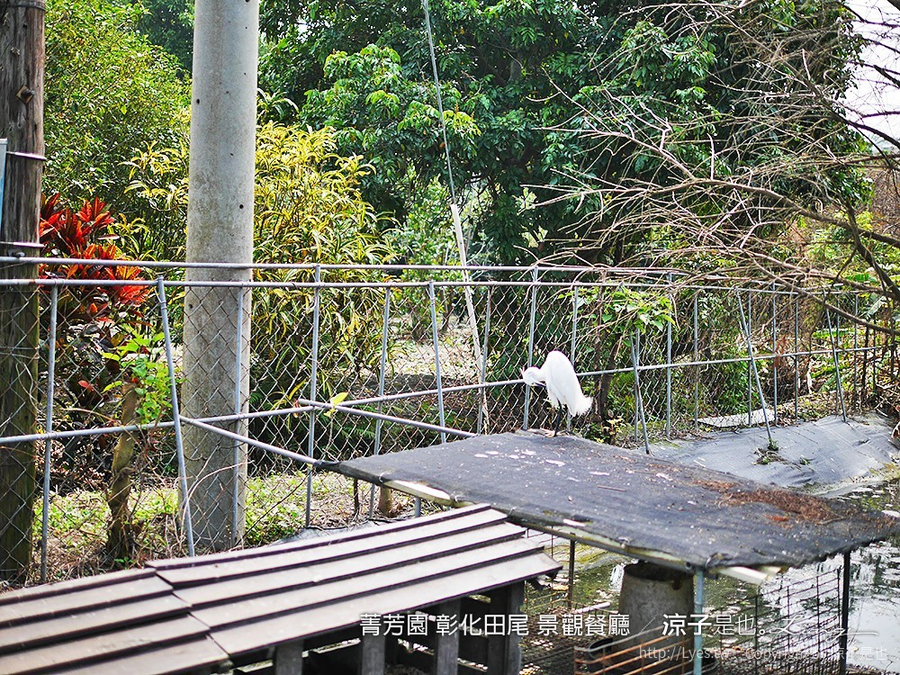 菁芳園 彰化田尾 景觀餐廳
