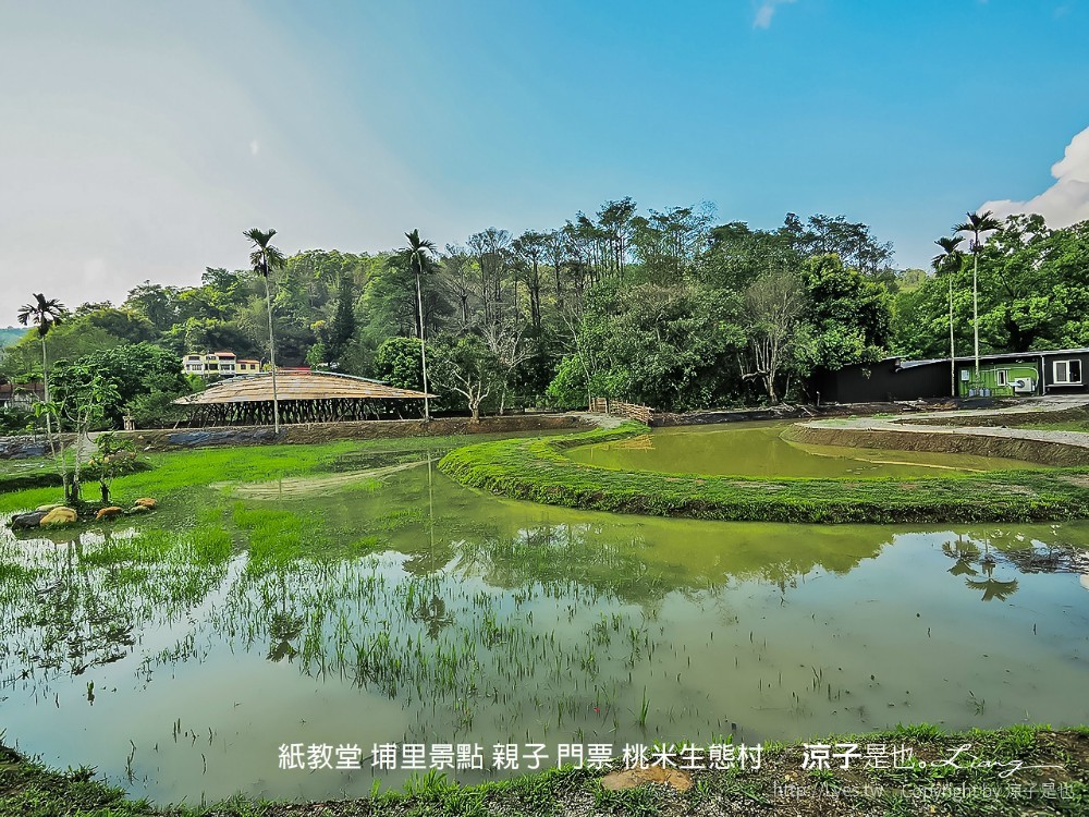 紙教堂 埔里景點 親子 門票 桃米生態村