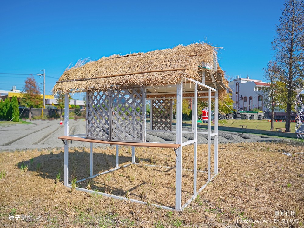 董家花田 菜單 門票 景點 彰化景點 田尾景觀餐廳 花海 戶外野餐 咖啡 交通