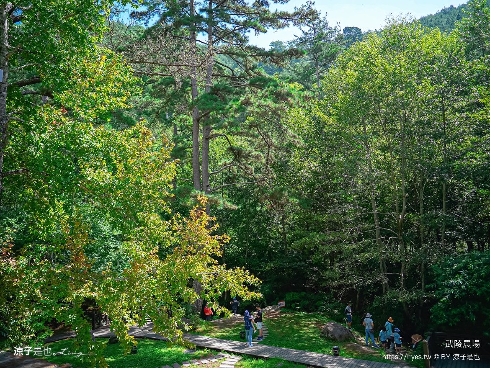 福壽山農場 民宿房型 住宿 露營 賞楓
