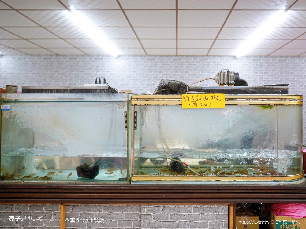 四重溪新興餐廳 菜單 四重溪美食 四重溪溫泉餐廳 屏東美食 屏東餐廳 蟋蟀 蜂蛹