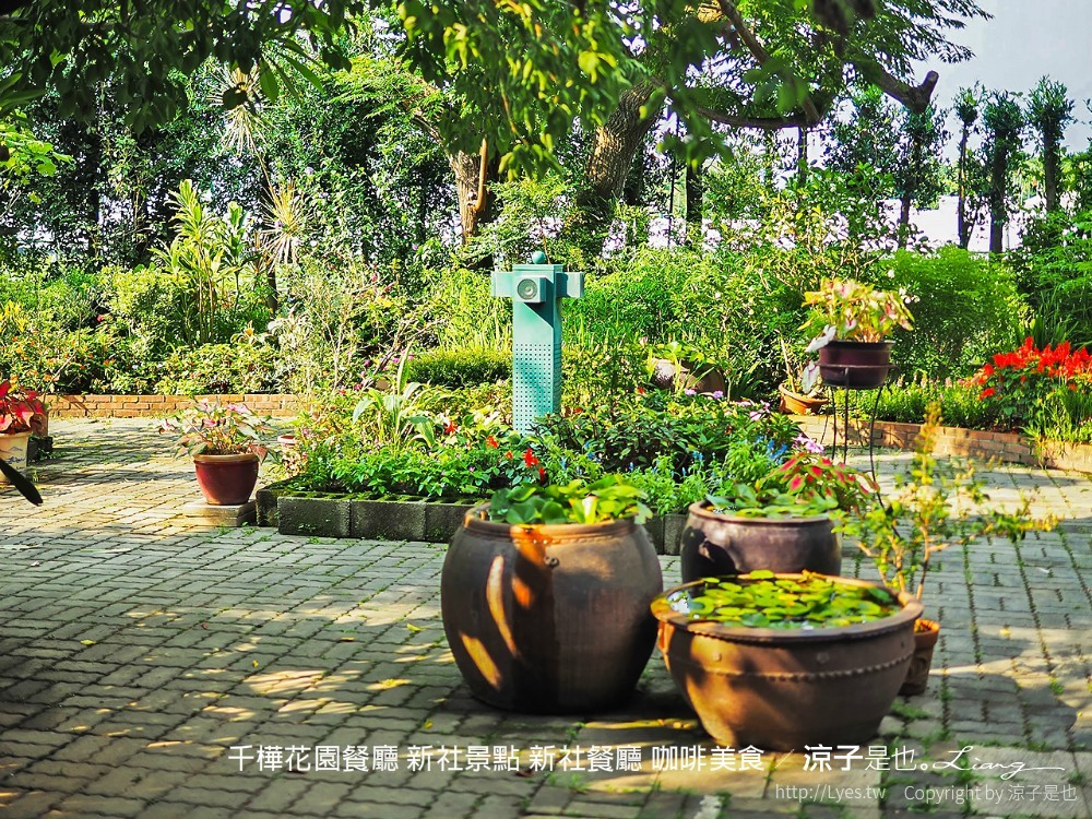 千樺花園餐廳 新社景點 新社餐廳 咖啡美食