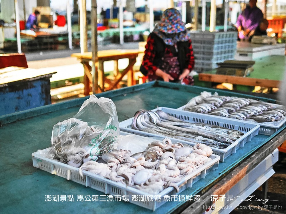 澎湖景點 馬公第三漁市場 澎湖旅遊 魚市搶鮮趣
