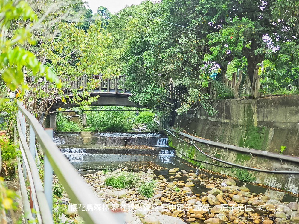 新社景點-櫻花鳥森林 迷你小火車x溜滑梯戲水區x鸚鵡放飛秀x露營 不止花好拍 親子旅遊也好玩！