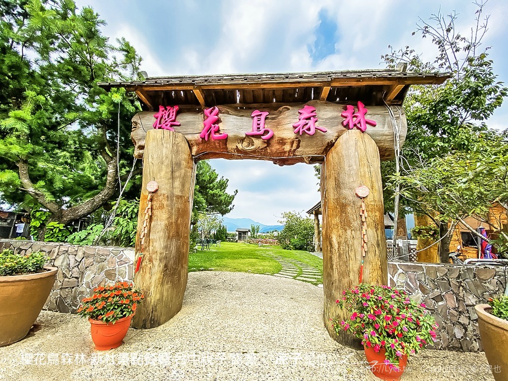 新社景點-櫻花鳥森林 迷你小火車x溜滑梯戲水區x鸚鵡放飛秀x露營 不止花好拍 親子旅遊也好玩！