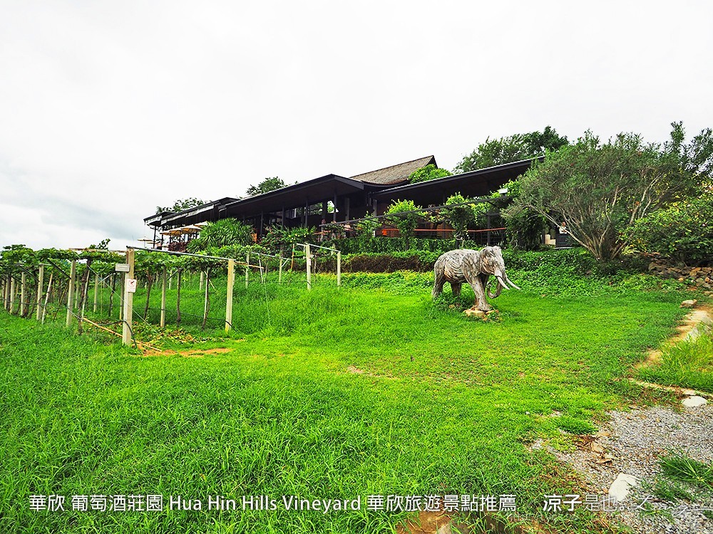 華欣 葡萄酒莊園 Hua Hin Hills Vineyard 華欣旅遊景點推薦