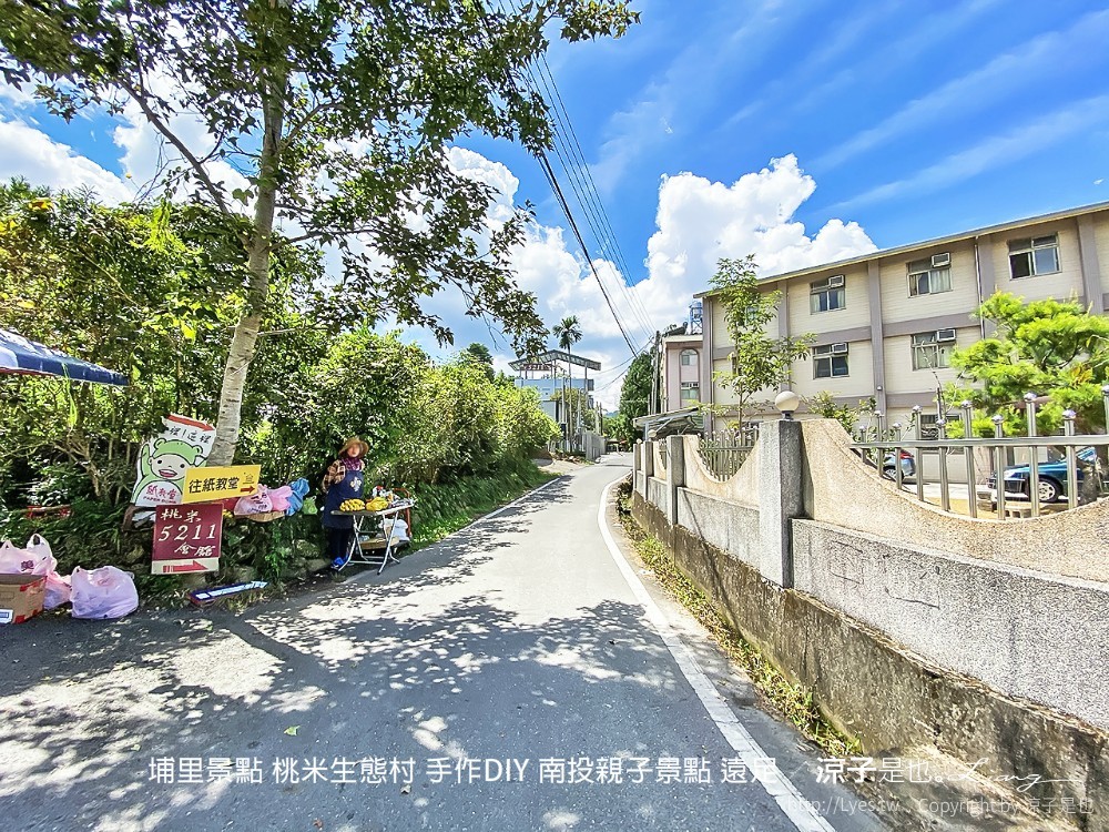 埔里景點 桃米生態村 手作diy 南投親子景點 遠足
